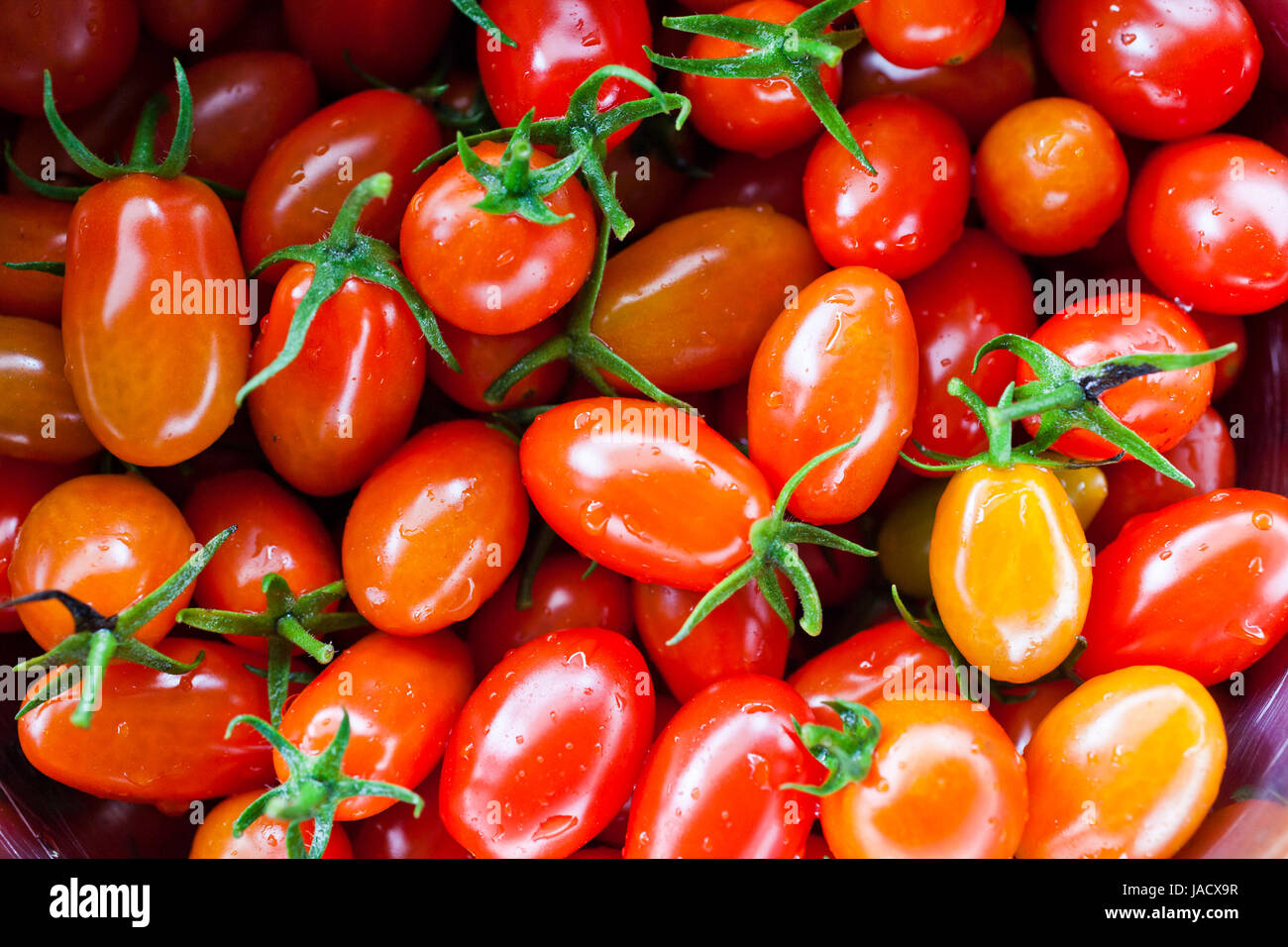 Fruits rouges cultivés frais maison tomates cerise Banque D'Images