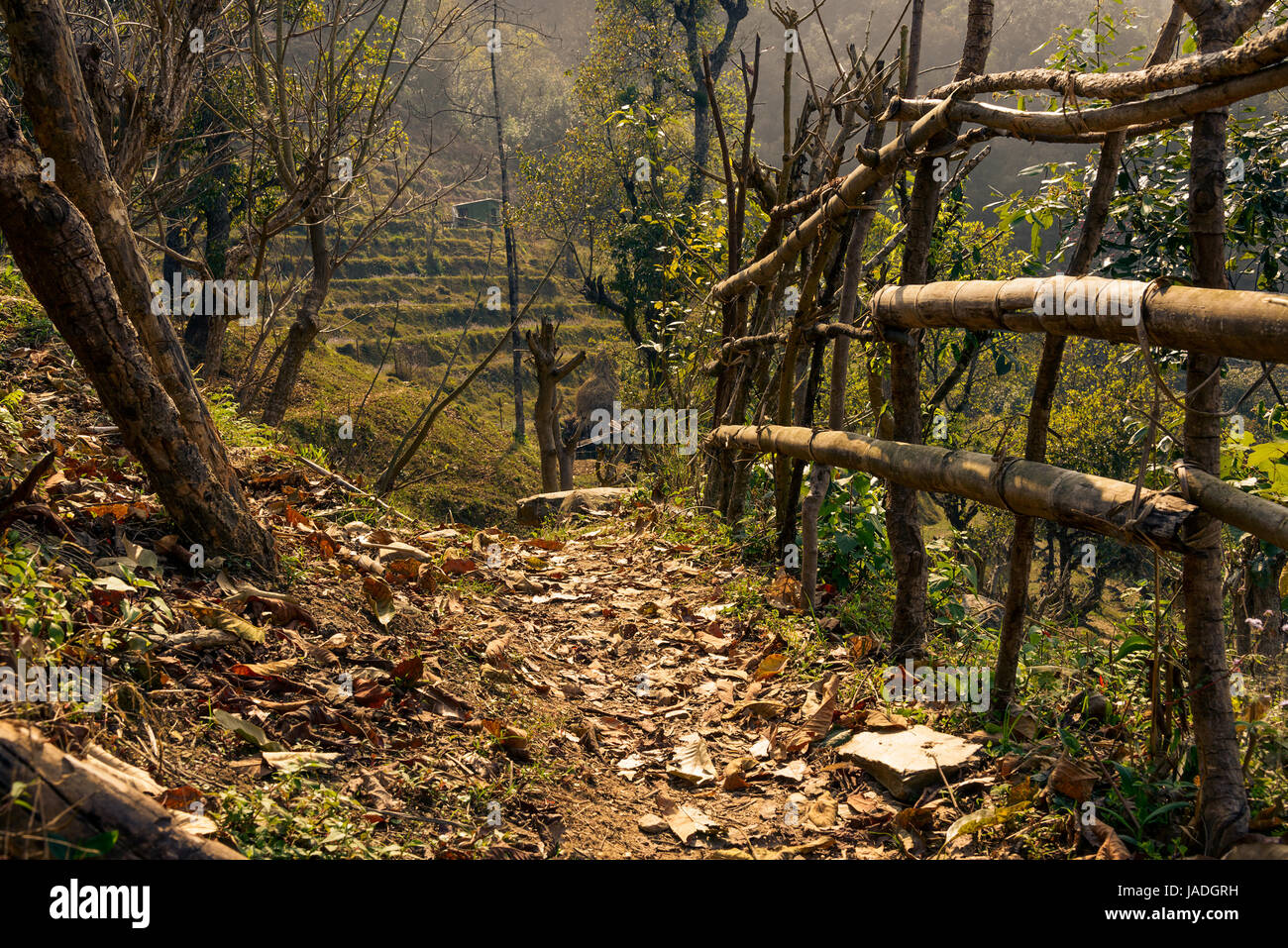 Sentier dans la campagne népalaise Banque D'Images