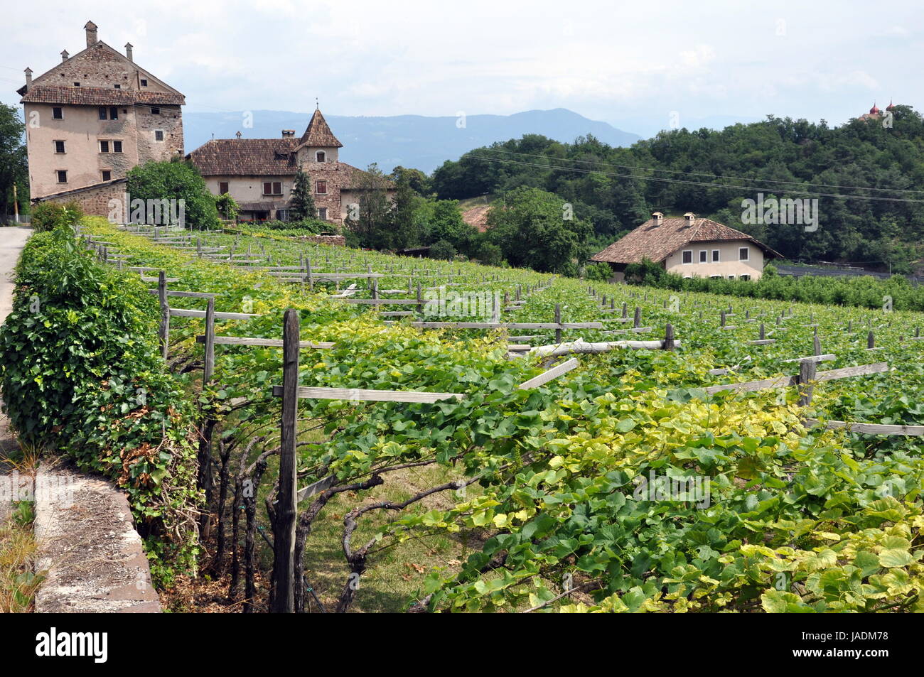 Route des vins du Tyrol du sud Banque D'Images