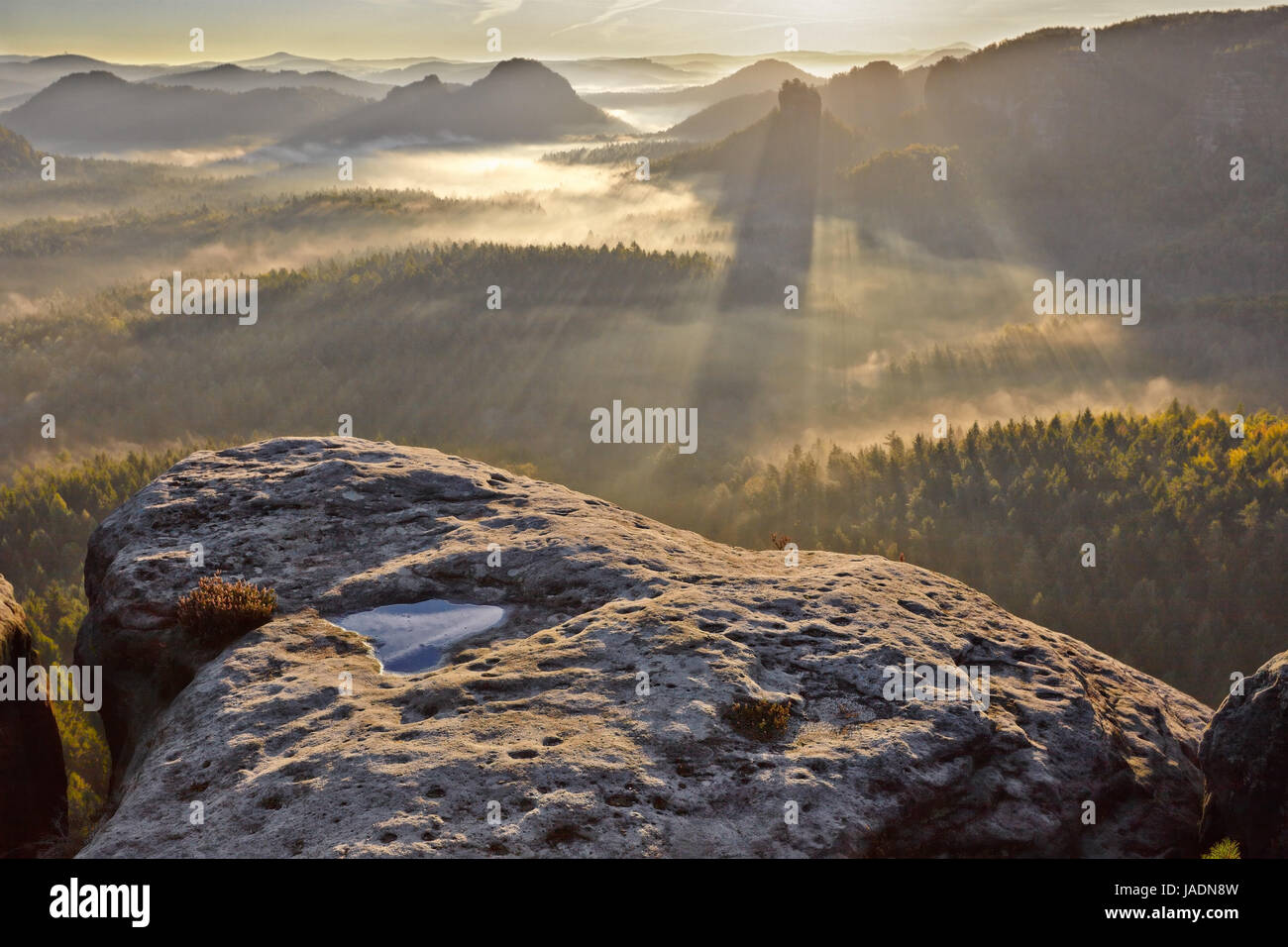 Sunrise de foggy Kleiner Winterberg dans le parc national de la Suisse Tchèque, République Tchèque Banque D'Images