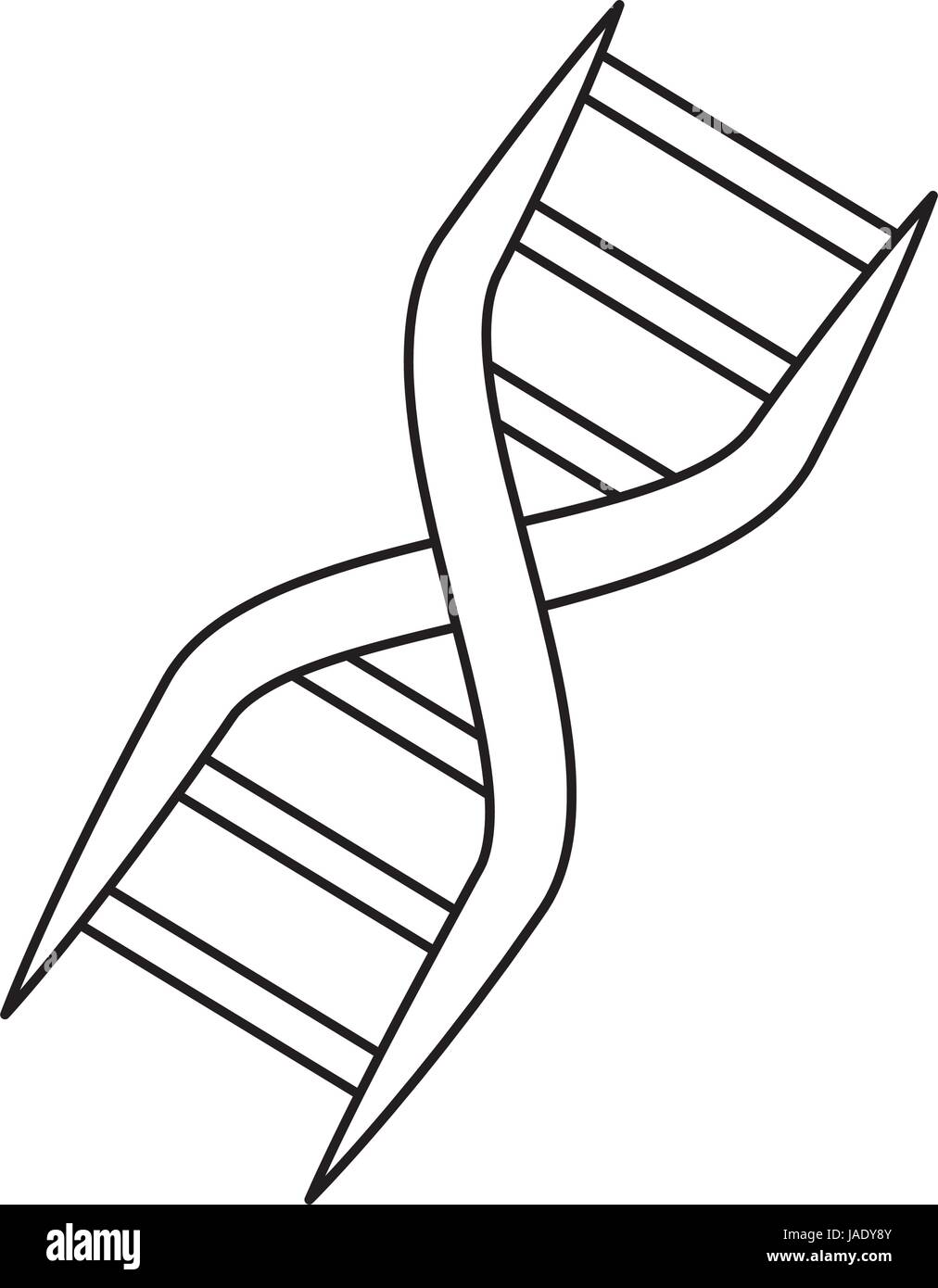 L'ADN code génétique Illustration de Vecteur
