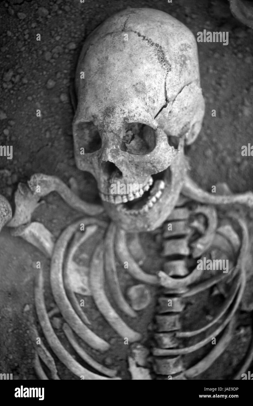 Rire crâne humain avec un sourire crâne humain avec un arrière-plan sombre. Concept de la mort, l'horreur et de l'anatomie. La peur des ossements archéologiques horreur excav Banque D'Images