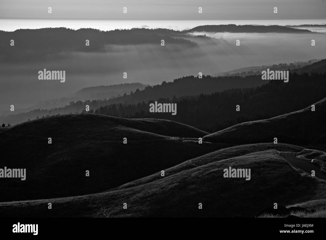 Bolinas Ridge, Calfiornia Banque D'Images