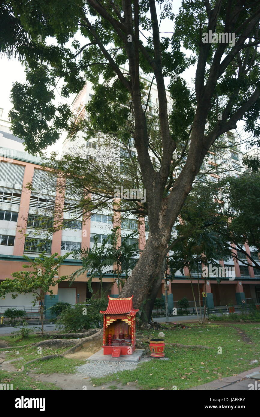Lieu de culte pour datuk gong, esprit gardien local vénéré par les chinois, malais sous un arbre Banque D'Images