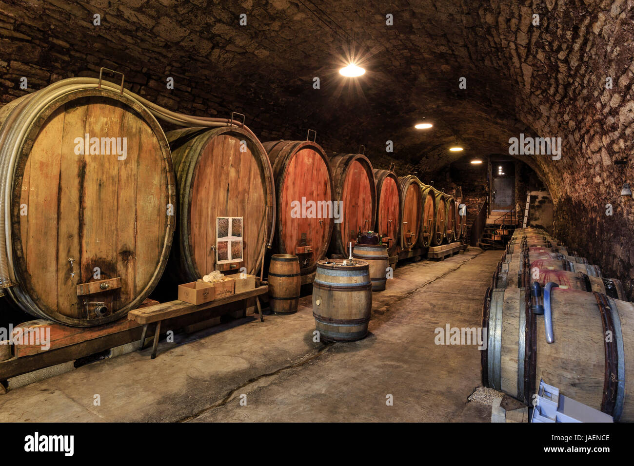 France, Jura, Arbois, l'une des plus belles cave à vin dans la ville, celle d'Evelyne et Pascal Clairet, Domaine de la Tournelle Banque D'Images