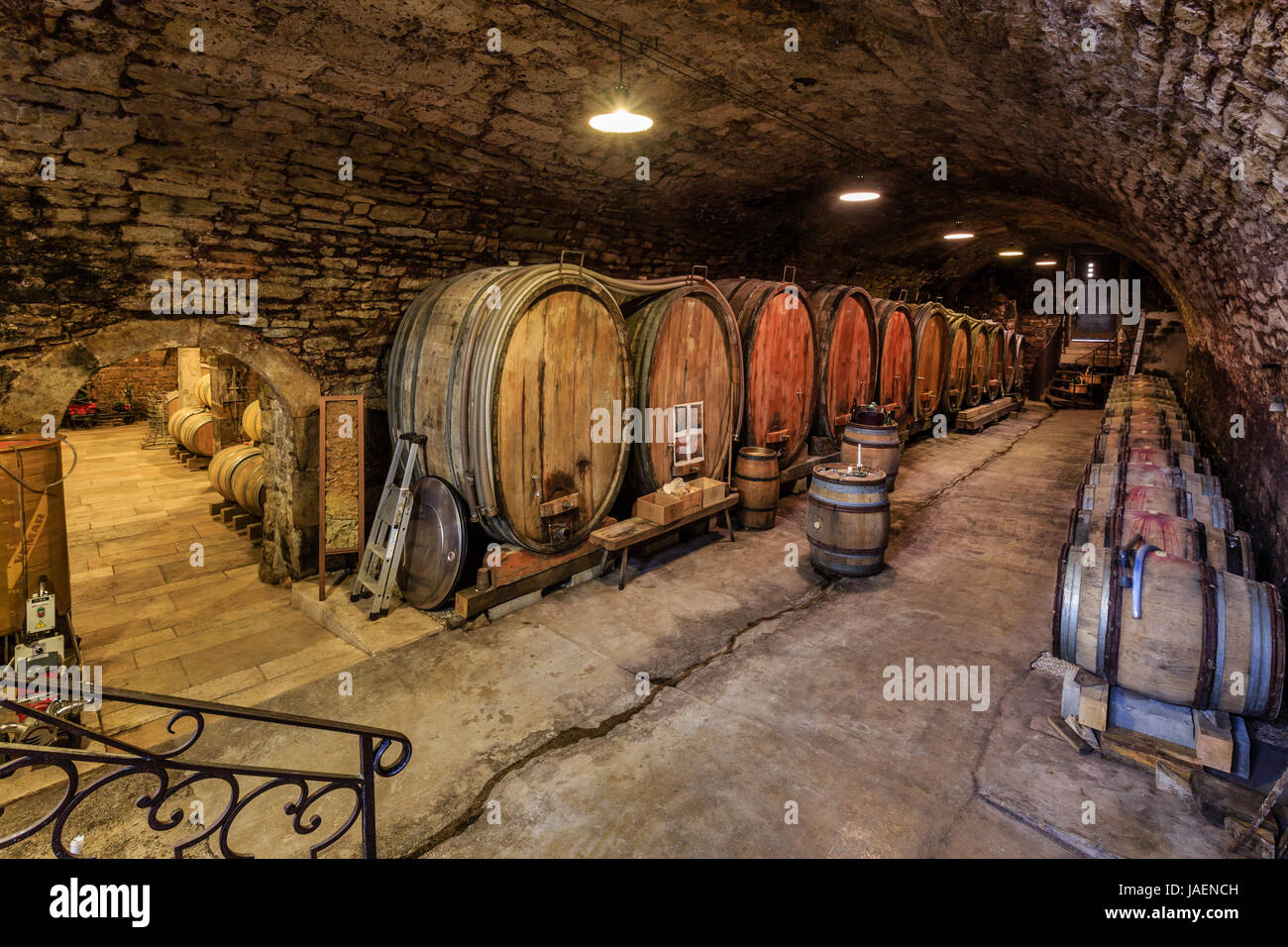 France, Jura, Arbois, l'une des plus belles cave à vin dans la ville, celle d'Evelyne et Pascal Clairet, Domaine de la Tournelle Banque D'Images