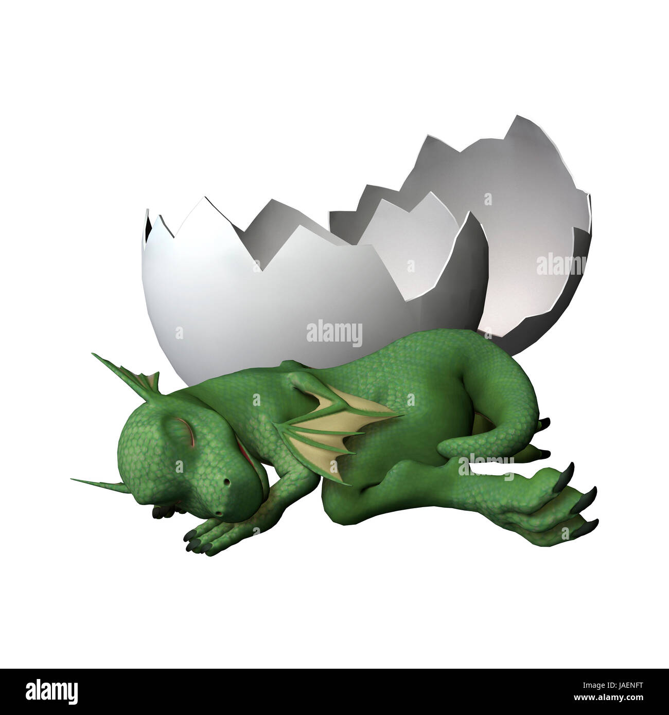 Numérique 3D render of a new born le petit dragon près de l'oeuf fêlé isolé sur fond blanc Banque D'Images