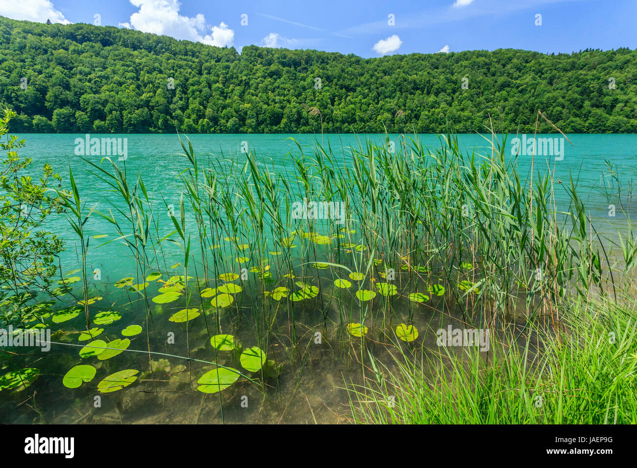 La France, du Jura, de Menetrux en Joux, Val lake Banque D'Images