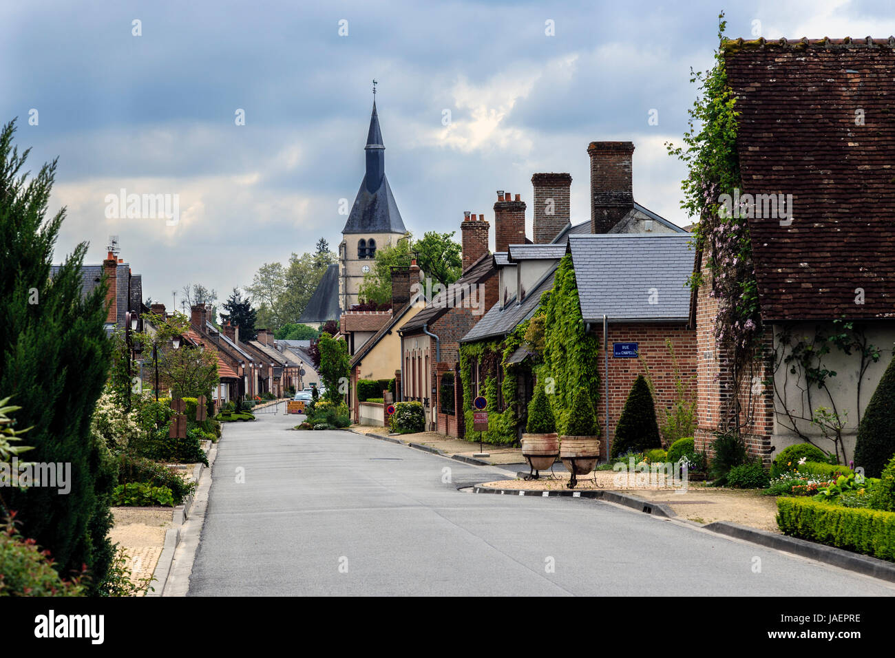 France, Loir et Cher, Sologne, Pierrefitte sur sauldre Banque D'Images