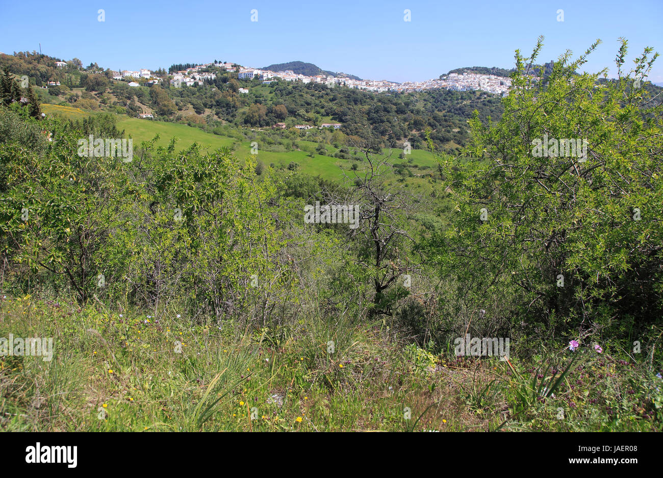 Village perché de Cascares, province de Malaga, au sud de l'Espagne Banque D'Images