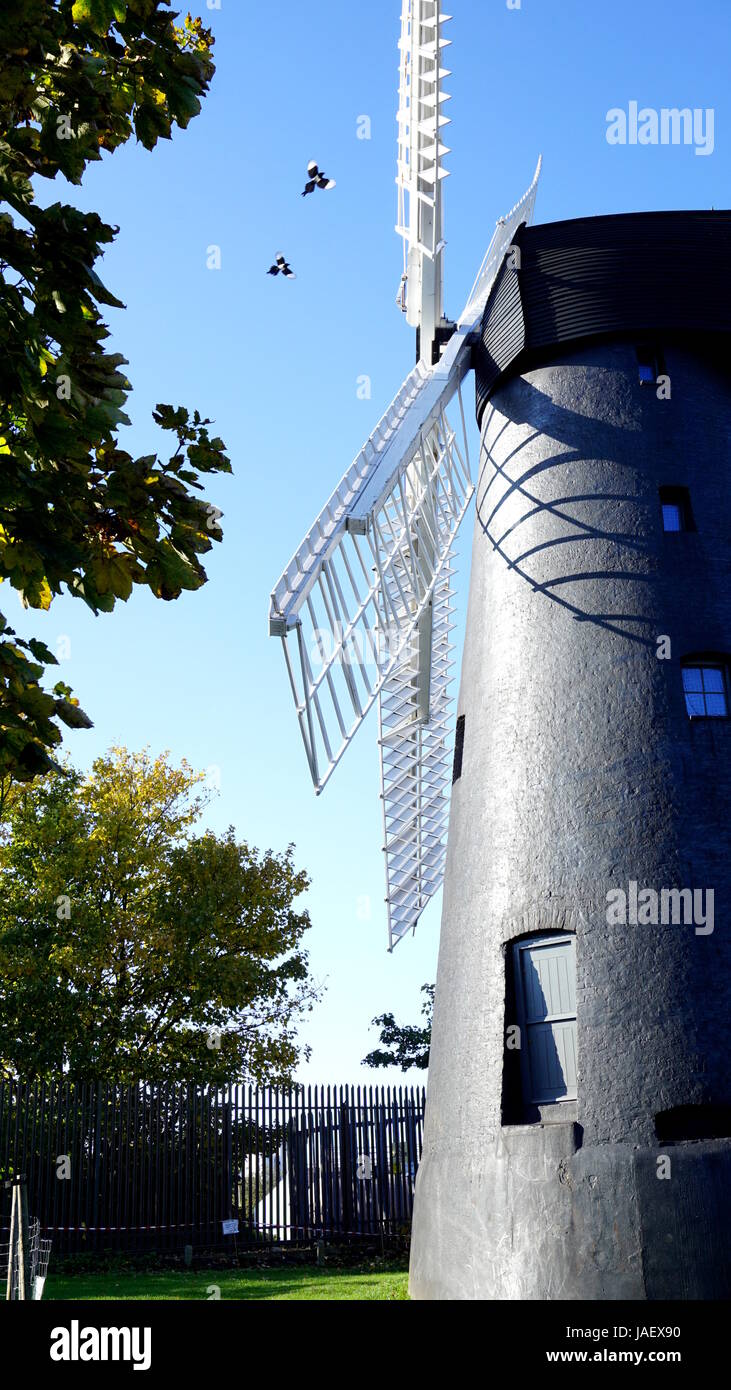 Moulin à farine avec les pies Brixton volant au-dessus Banque D'Images