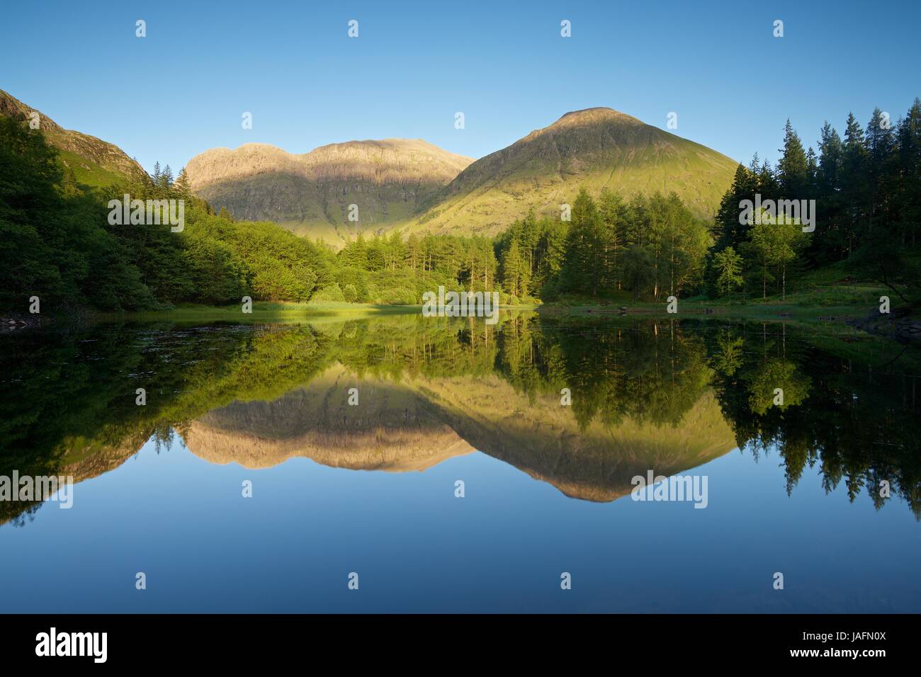 Un style californien l'été à Glencoe. La photo est prise depuis les rives de la Torren Lochan à à Bidean Nam Bian Banque D'Images