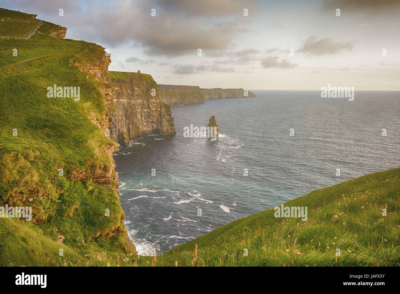 Vues épique des falaises de Moher dans le comté de Clare en Irlande. L'Irlande est l'attraction touristique numéro 1. belle campagne irlandaise pittoresque le long du paysage Banque D'Images