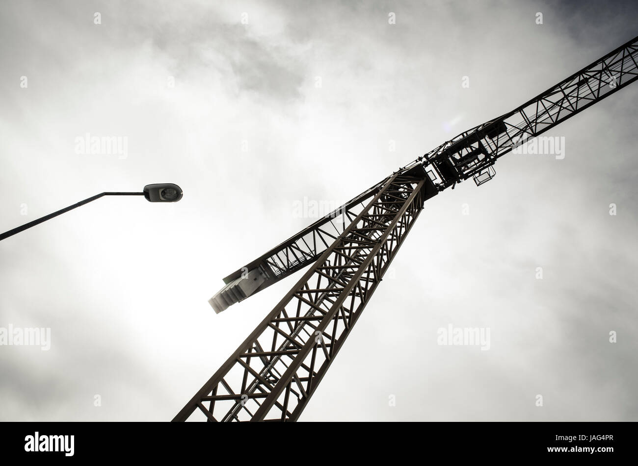 Grue sur image Banque D'Images