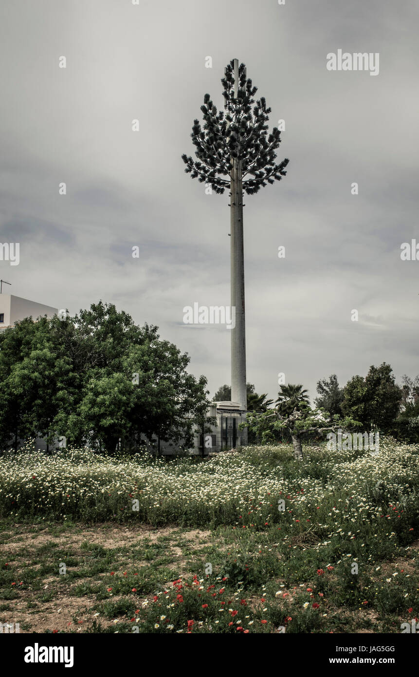 Tour de télécommunication arial déguisé en arbre Banque D'Images