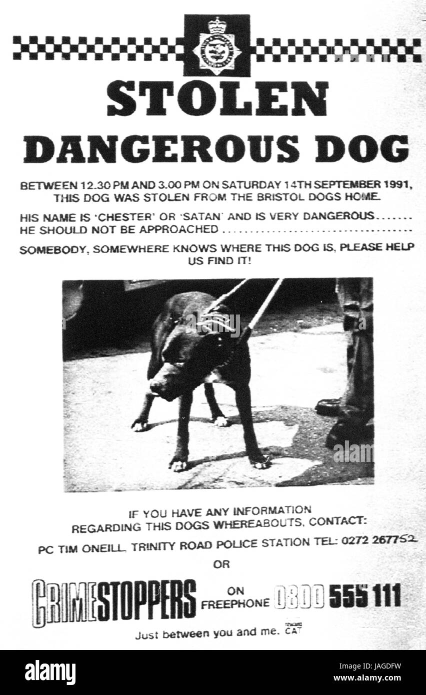 Une des affiches mis dans l'Avon et de Somerset en garde le public contre un chien dangereux qui avait été volée. Le pit-bull terrier volé, connu sous le nom de 'Chester' ou 'Satan', a été mis à mort par la police après qu'il est devenu cercle vicieux quand ils l'ont découvert lors d'une recherche d'une maison à Bristol Banque D'Images
