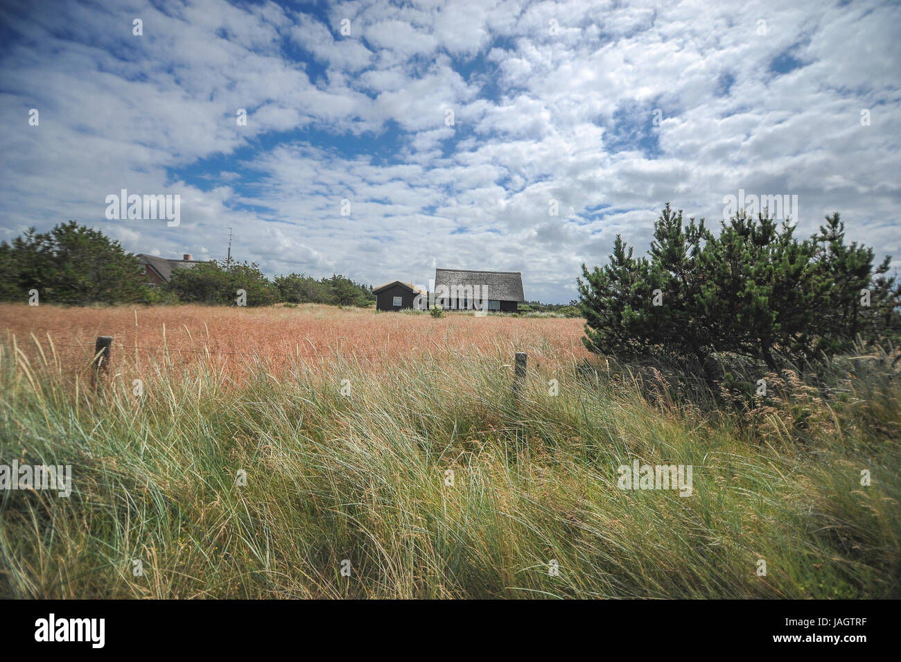 Magnifique paysage de Blavand, Danemark Banque D'Images