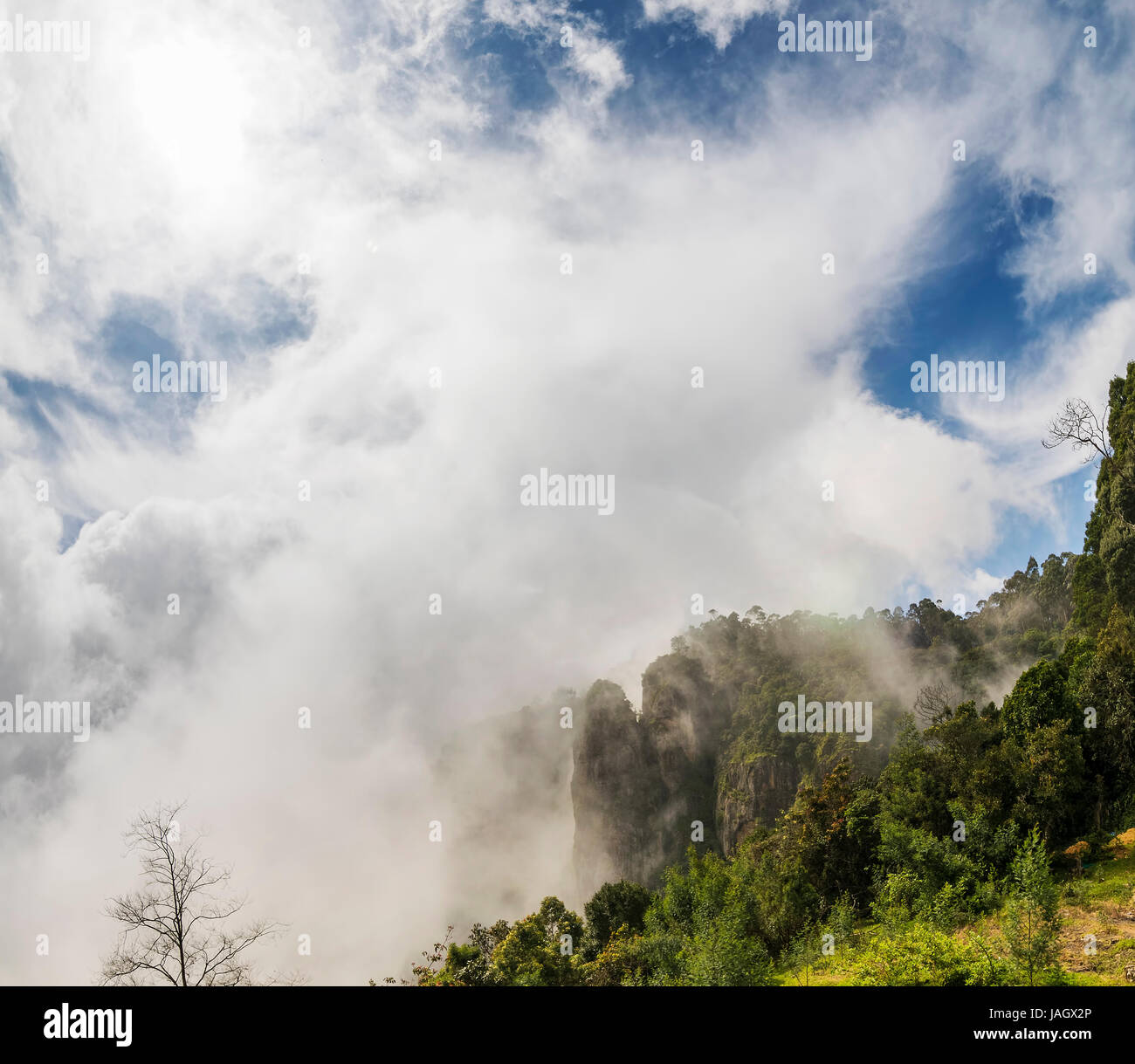 Pilier des roches de Kodaikanal sont ensemble de trois piliers de roche géant qui se situent 122 mètres (400 pieds) de haut et est géré par le Tamil Nadu (Inde) Forêt de Banque D'Images