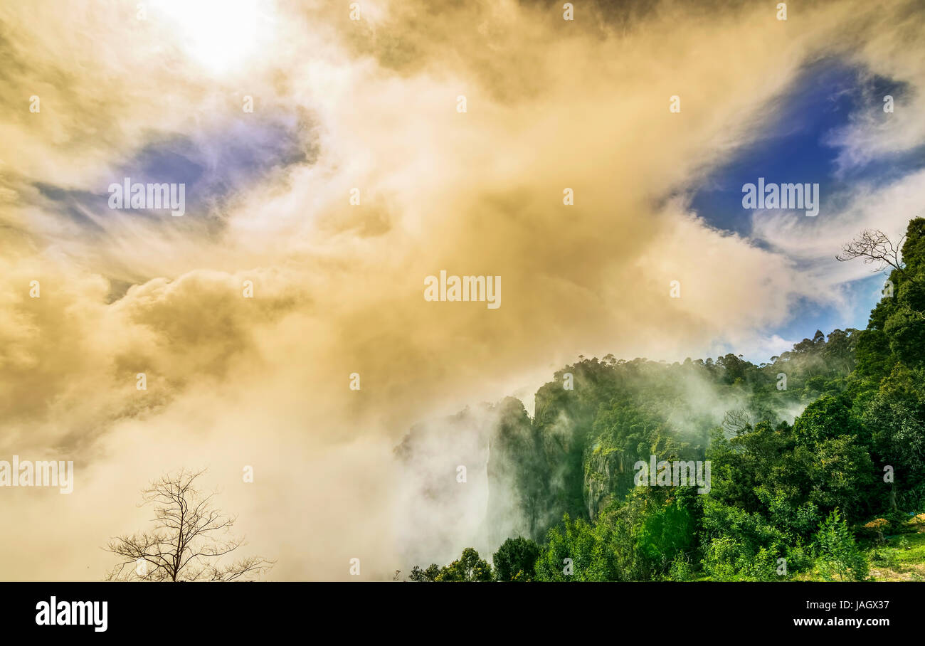 Pilier des roches de Kodaikanal sont ensemble de trois piliers de roche géant qui se situent 122 mètres (400 pieds) de haut et est géré par le Tamil Nadu (Inde) Forêt de Banque D'Images