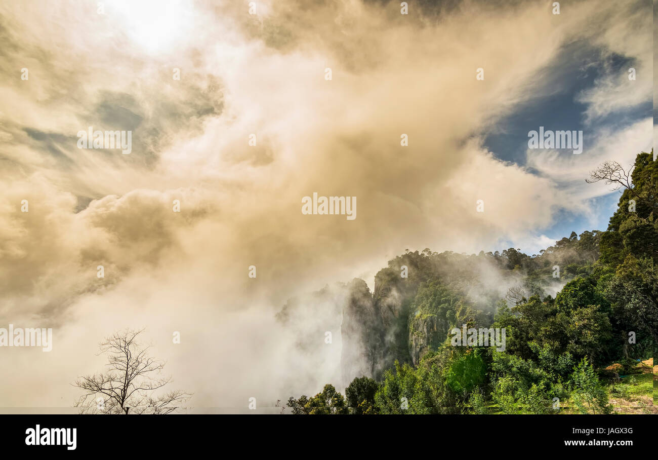 Pilier des roches de Kodaikanal sont ensemble de trois piliers de roche géant qui se situent 122 mètres (400 pieds) de haut et est géré par le Tamil Nadu (Inde) Forêt de Banque D'Images