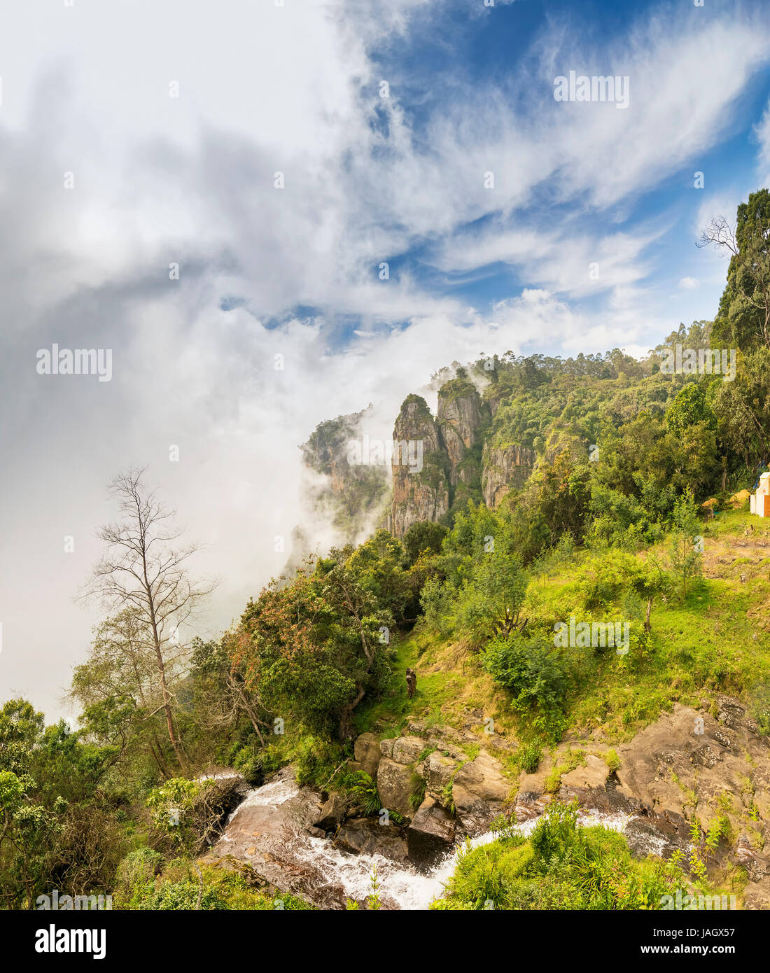 Pilier des roches de Kodaikanal sont ensemble de trois piliers de roche géant qui se situent 122 mètres (400 pieds) de haut et est géré par le Tamil Nadu (Inde) Forêt de Banque D'Images