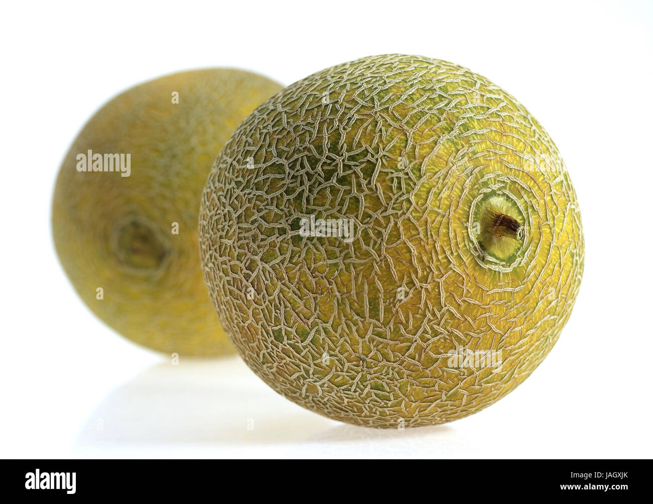 Melon jaune Amarillo de Amarillo Tendral,ou,Cucumis Melo,foetus,fond blanc, Banque D'Images