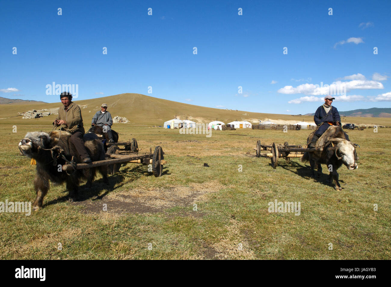 La Mongolie, l'Asie centrale, la province Arkhangai,voitures,yaks,nomade, Banque D'Images