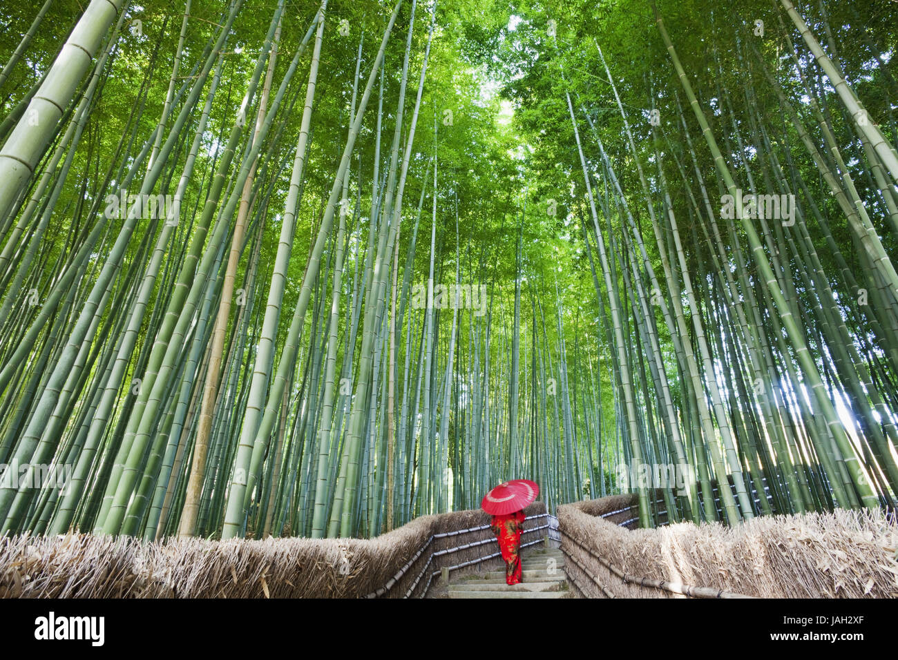 Japon Kyoto Arashiyama,,,Adashino Nenbutsu-ji,bois de bambou,way,escaliers,femme,kimono,écran affichage,vue arrière, Banque D'Images