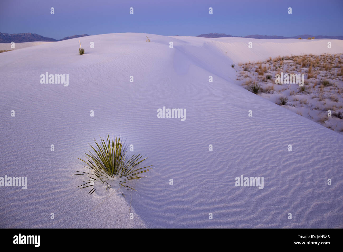 De sable blanc,monument national Nouveau Mexique, Etats Unis, Banque D'Images