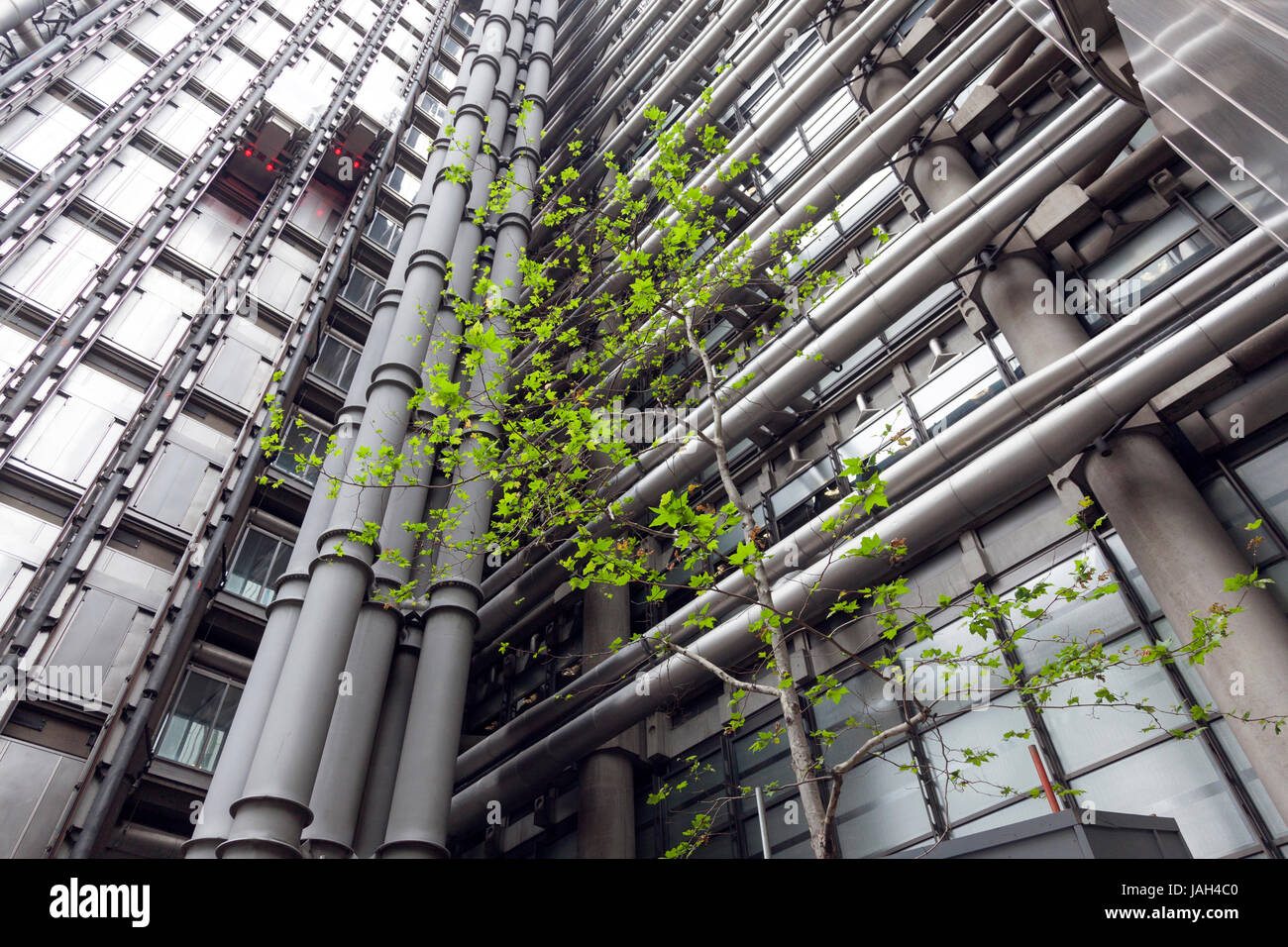 Londres, Royaume-Uni, 7 mai 2017 : partie de Lloyd's building dans la ville de Londres avec arbre vert et élévateurs Banque D'Images