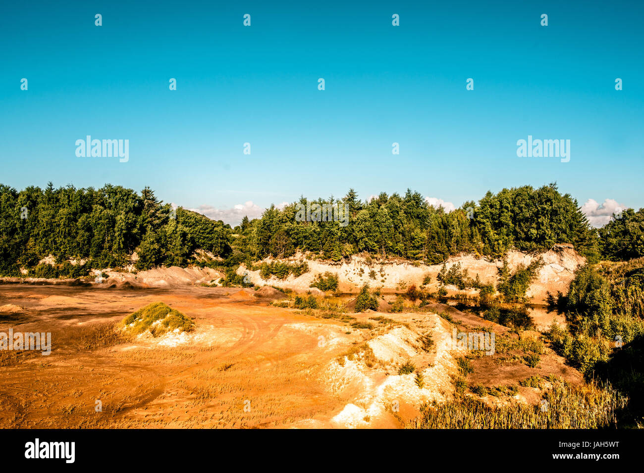 Canyon entourée de forêt avec ciel bleu Banque D'Images