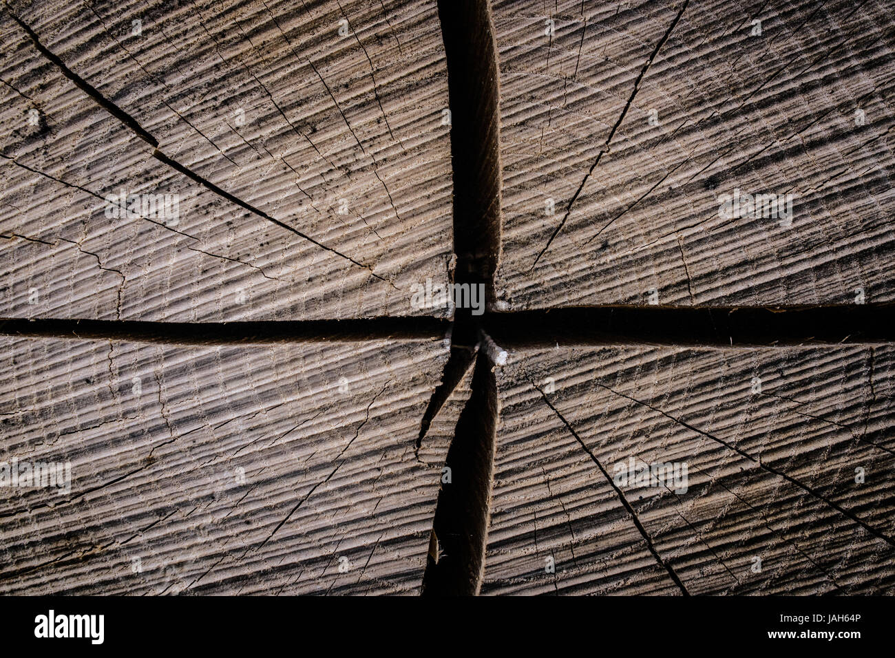 Close-up d'un tronc d'arbre pattern Banque D'Images