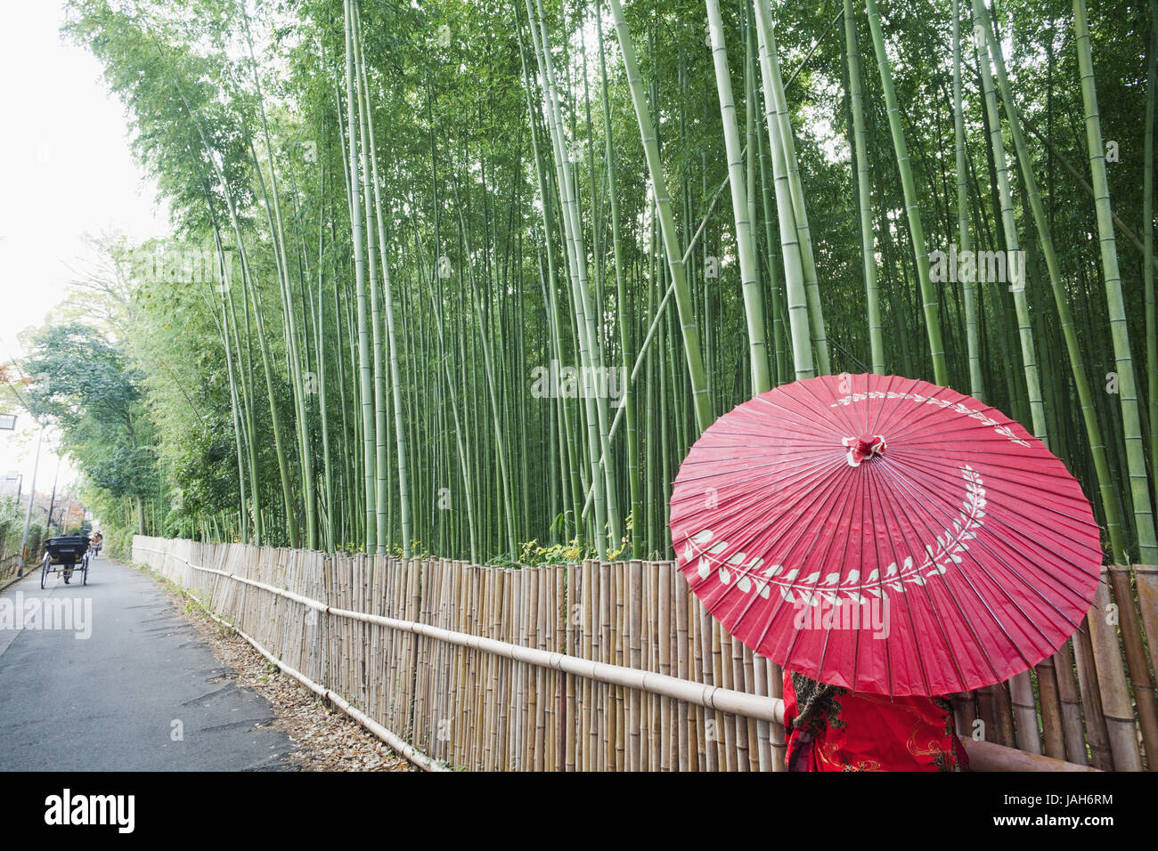 Japon Kyoto Arashiyama,,,Adashino Nenbutsu-ji,bois de bambou,way,clôture,femme,kimono,écran affichage,vue arrière, Banque D'Images