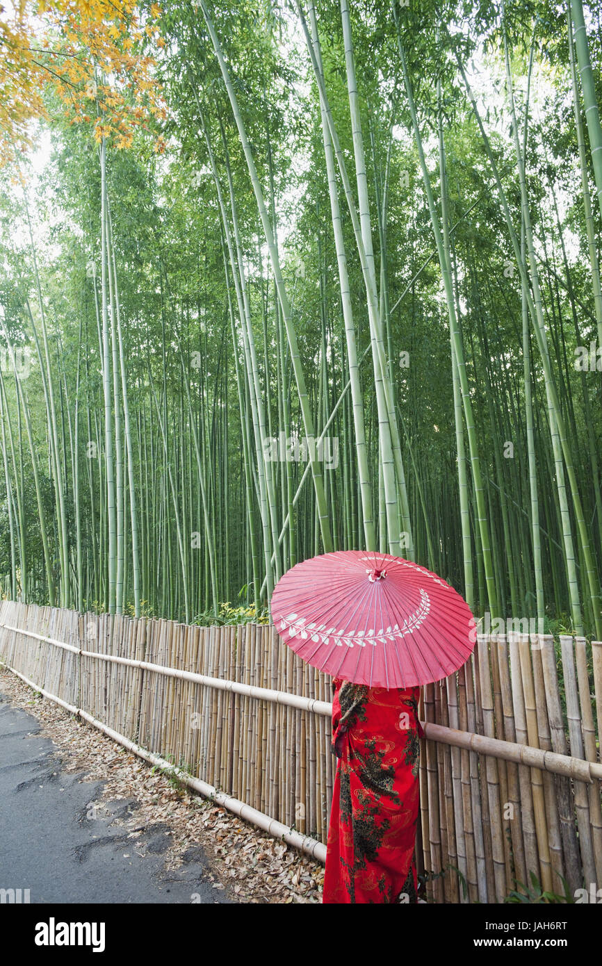 Japon Kyoto Arashiyama,,,Adashino Nenbutsu-ji,bois de bambou,way,clôture,femme,kimono,écran affichage,vue arrière, Banque D'Images