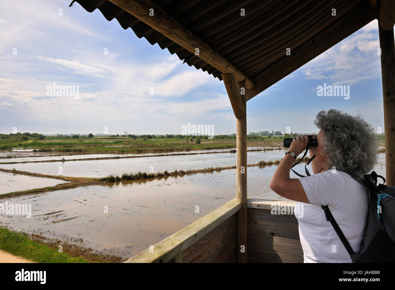 Les sentiers de Salreu. C'est une très belle région naturelle entre la rivière Antuã et la Ria de Aveiro. Portugal Banque D'Images