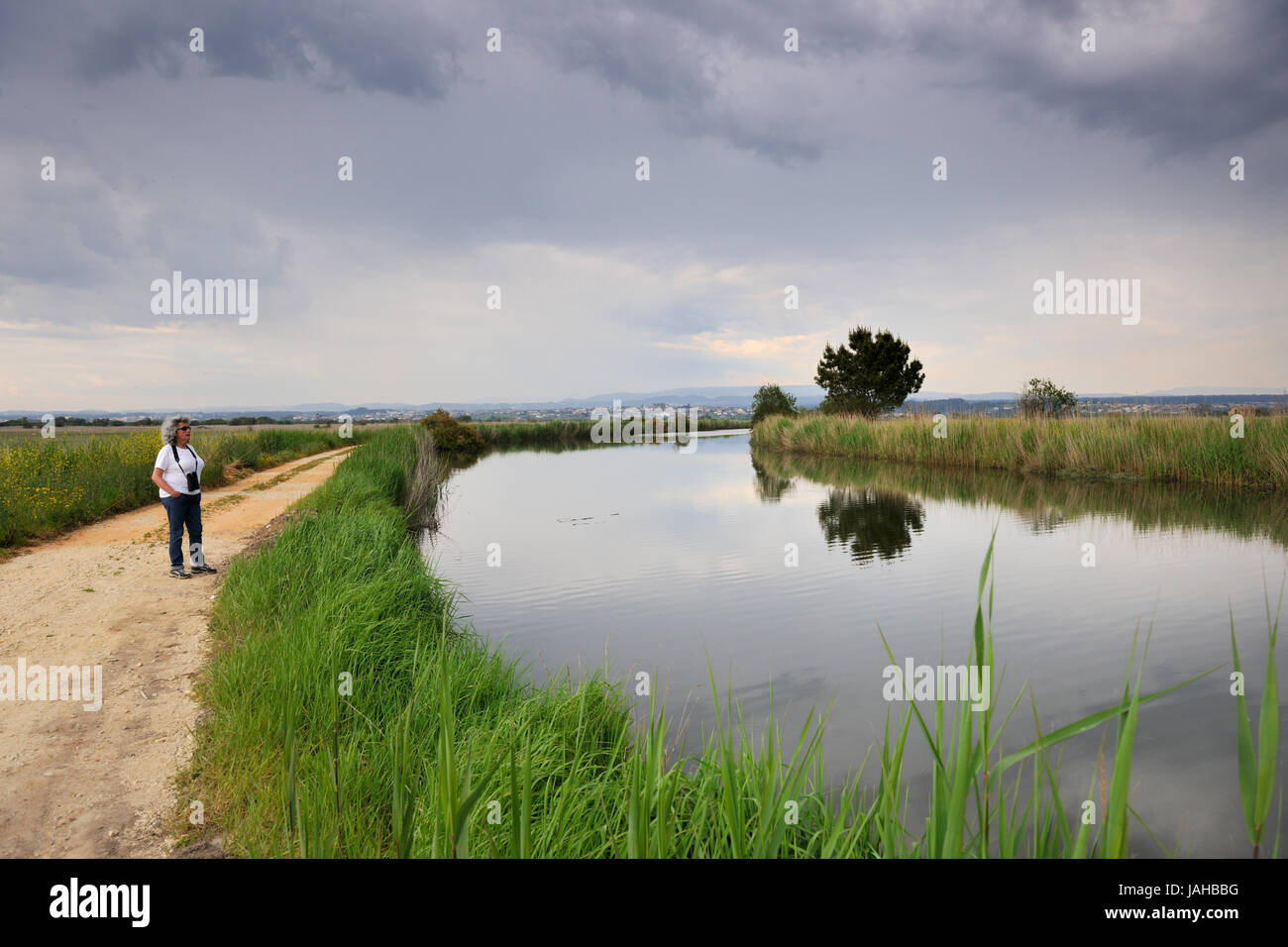 Les sentiers de Salreu. C'est une très belle région naturelle entre la rivière Antuã et la Ria de Aveiro. Portugal Banque D'Images