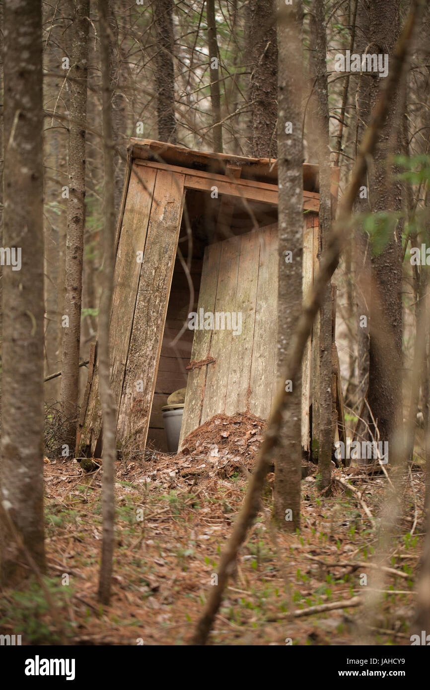 Old outhouse en bois abandonnés dans les bois. Banque D'Images