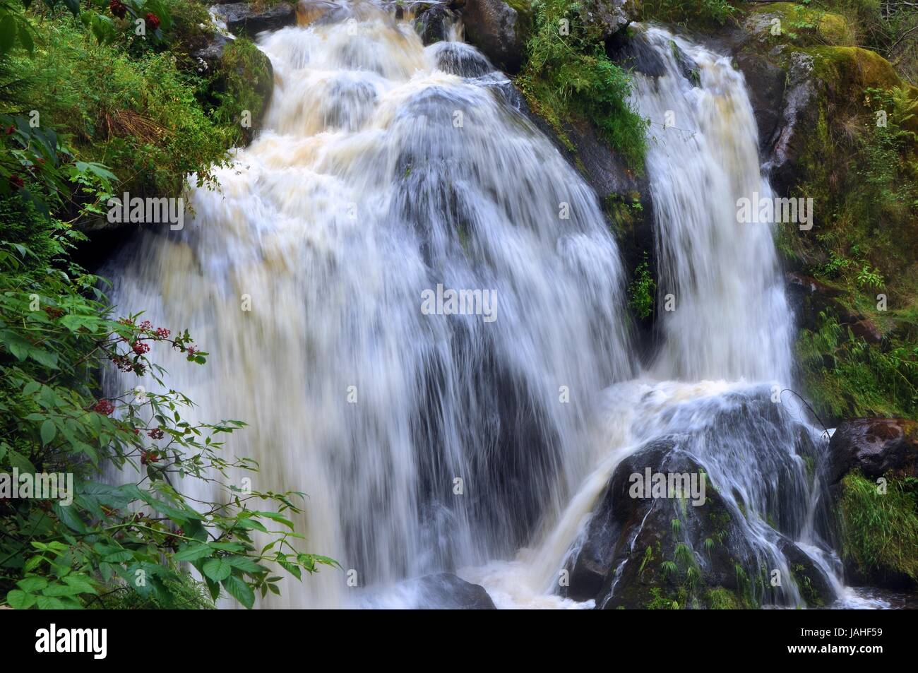 Wasserfall im Schwarzwald Banque D'Images