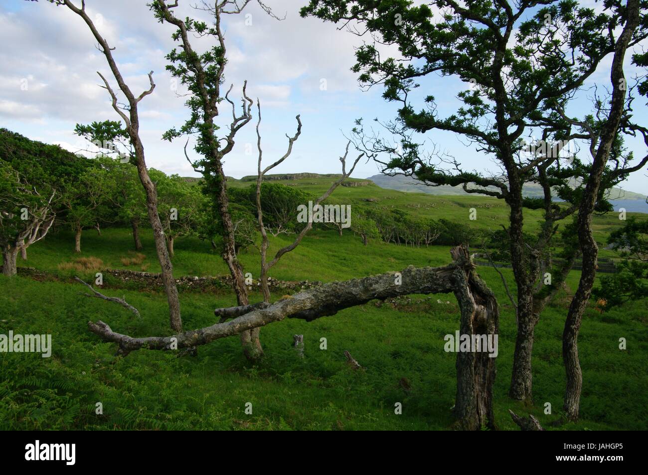 Loch Tuath, Torloisk, Isle of Mull, Scotland Banque D'Images