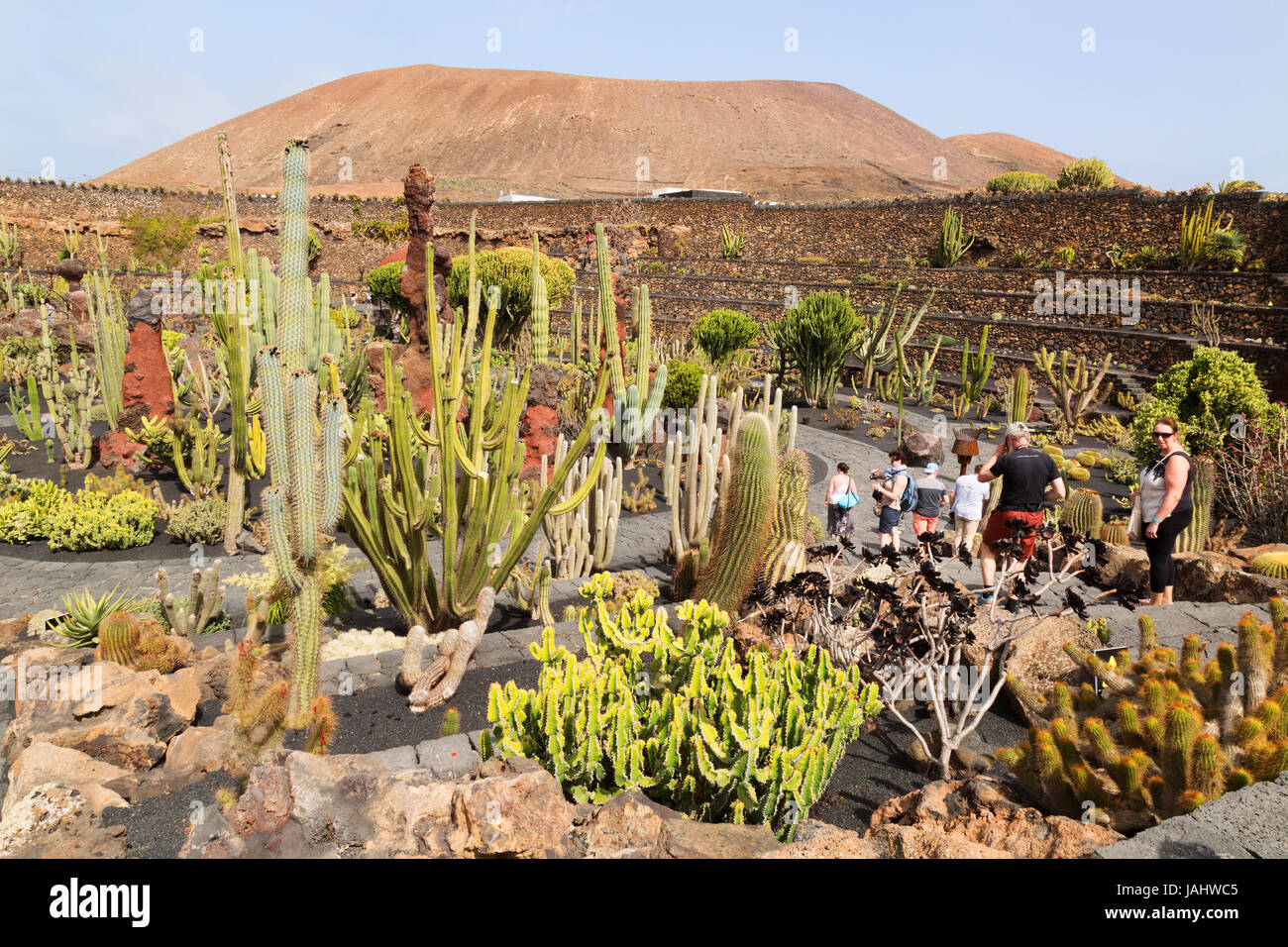 Jardin de cactus de Lanzarote ou jardin de cactus, conçu par l'artiste local Cesar Manrique, Lanzarote, Canaries, l'Europe Banque D'Images