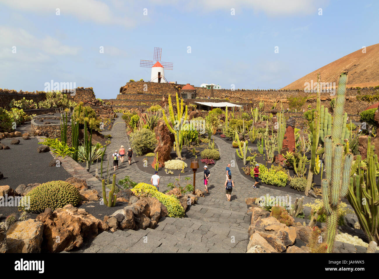 Jardin de cactus de Lanzarote ou jardin de cactus, conçu par l'artiste local Cesar Manrique, Lanzarote, Canaries, l'Europe Banque D'Images