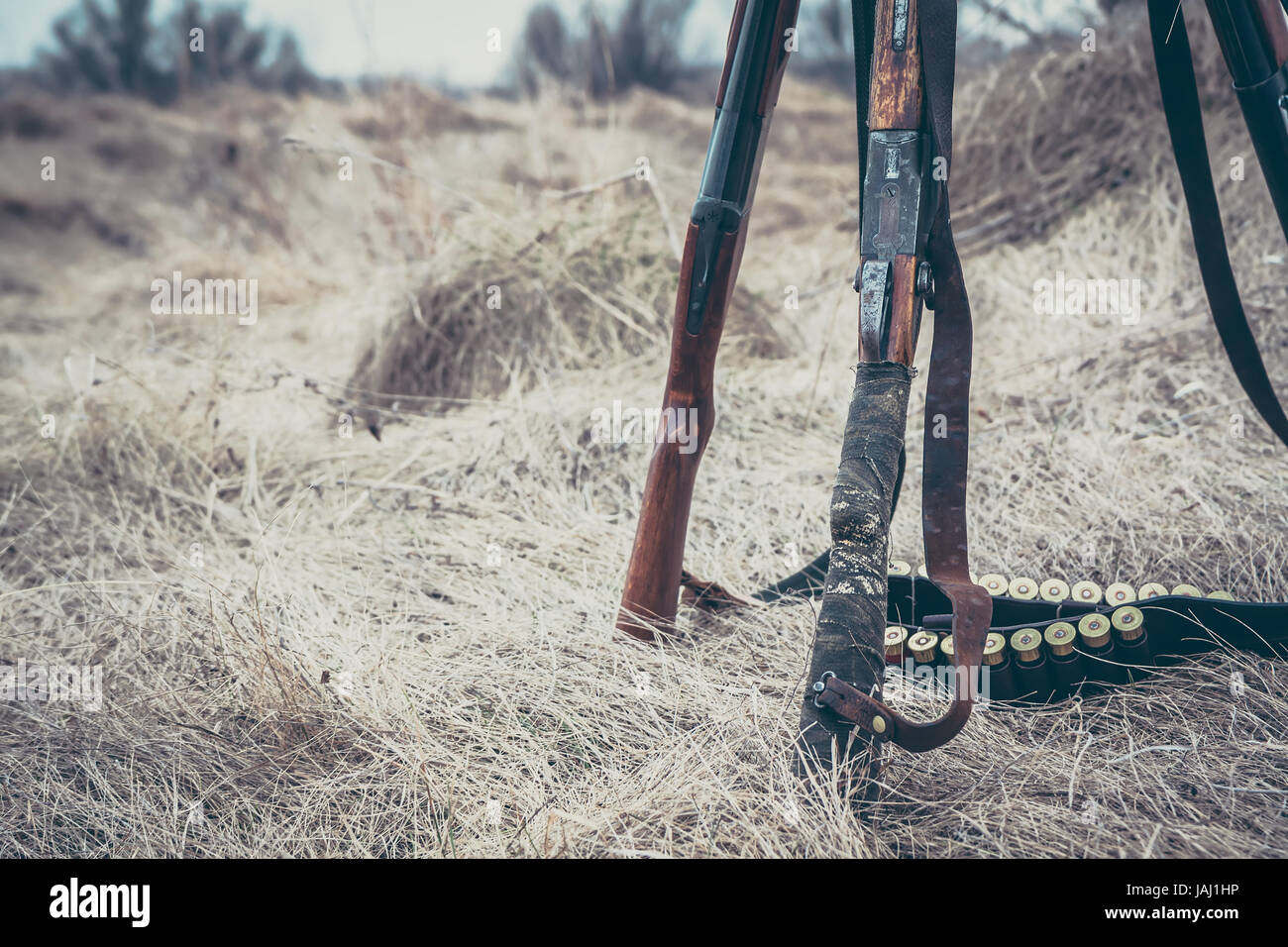 Fusils de chasse avec des munitions sur la courroie de l'herbe sèche comme arrière-plan de chasse Banque D'Images