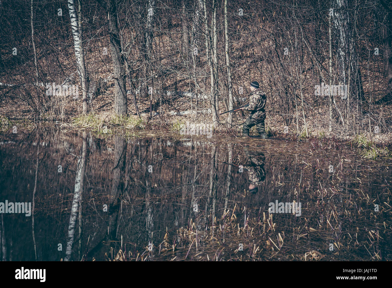 Scène de chasse à l'homme de voler en hunter zone humide avec forêt durant la saison de la chasse Banque D'Images