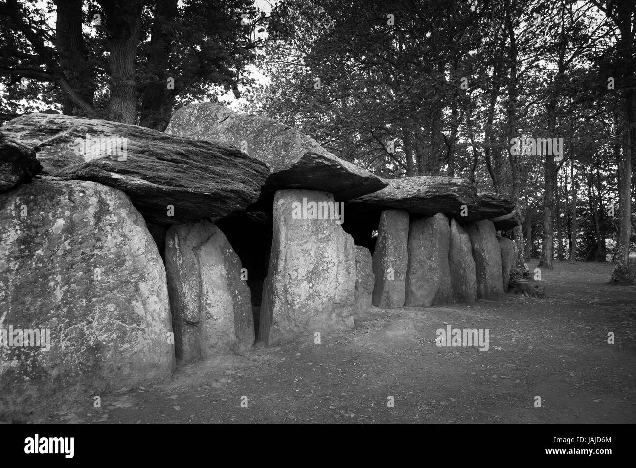 La Roche-aux-Fées fairies' rock à Esse en France Banque D'Images