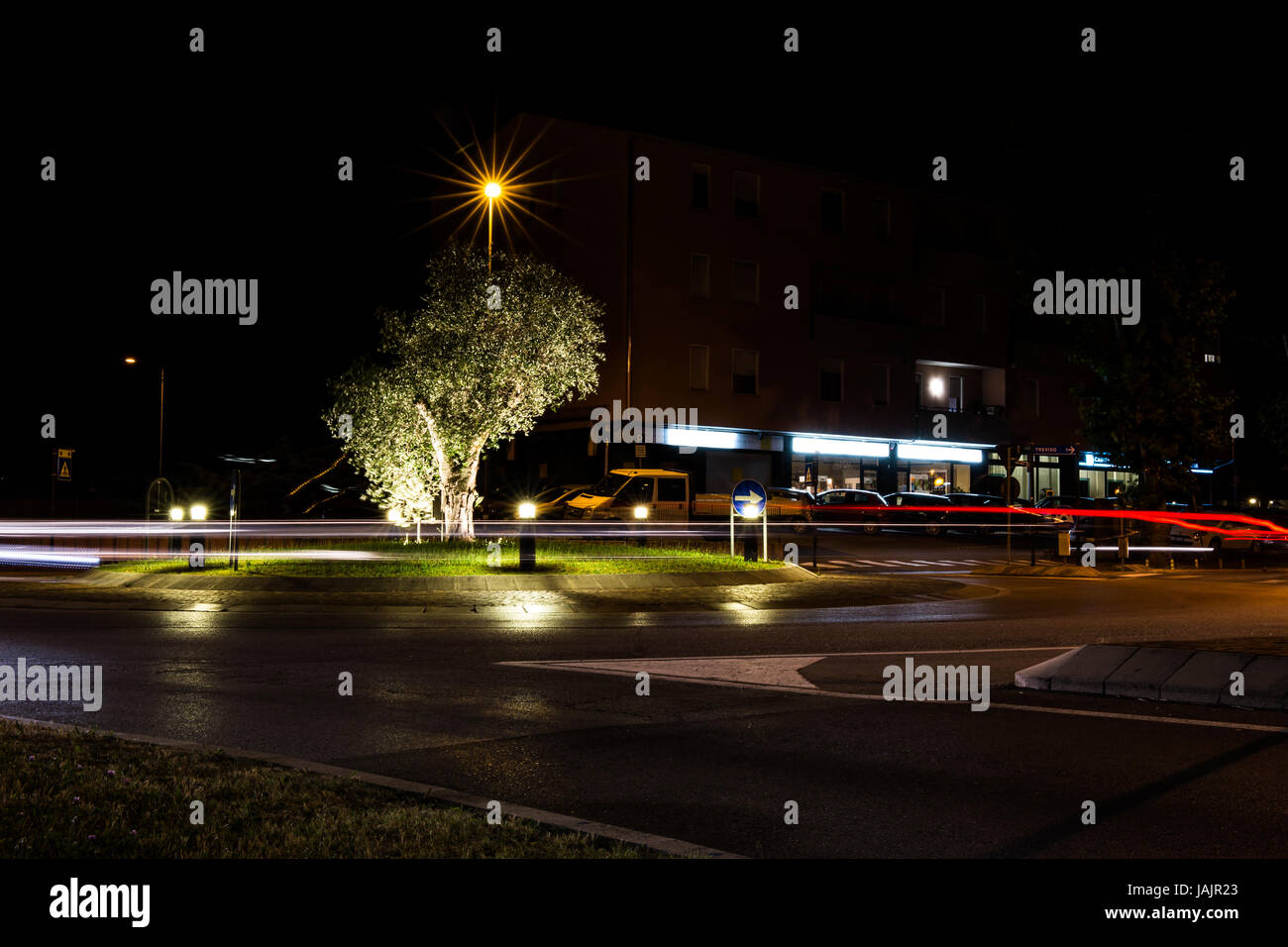 Rond-point dans la nuit avec un bel arbre illuminé au milieu Banque D'Images