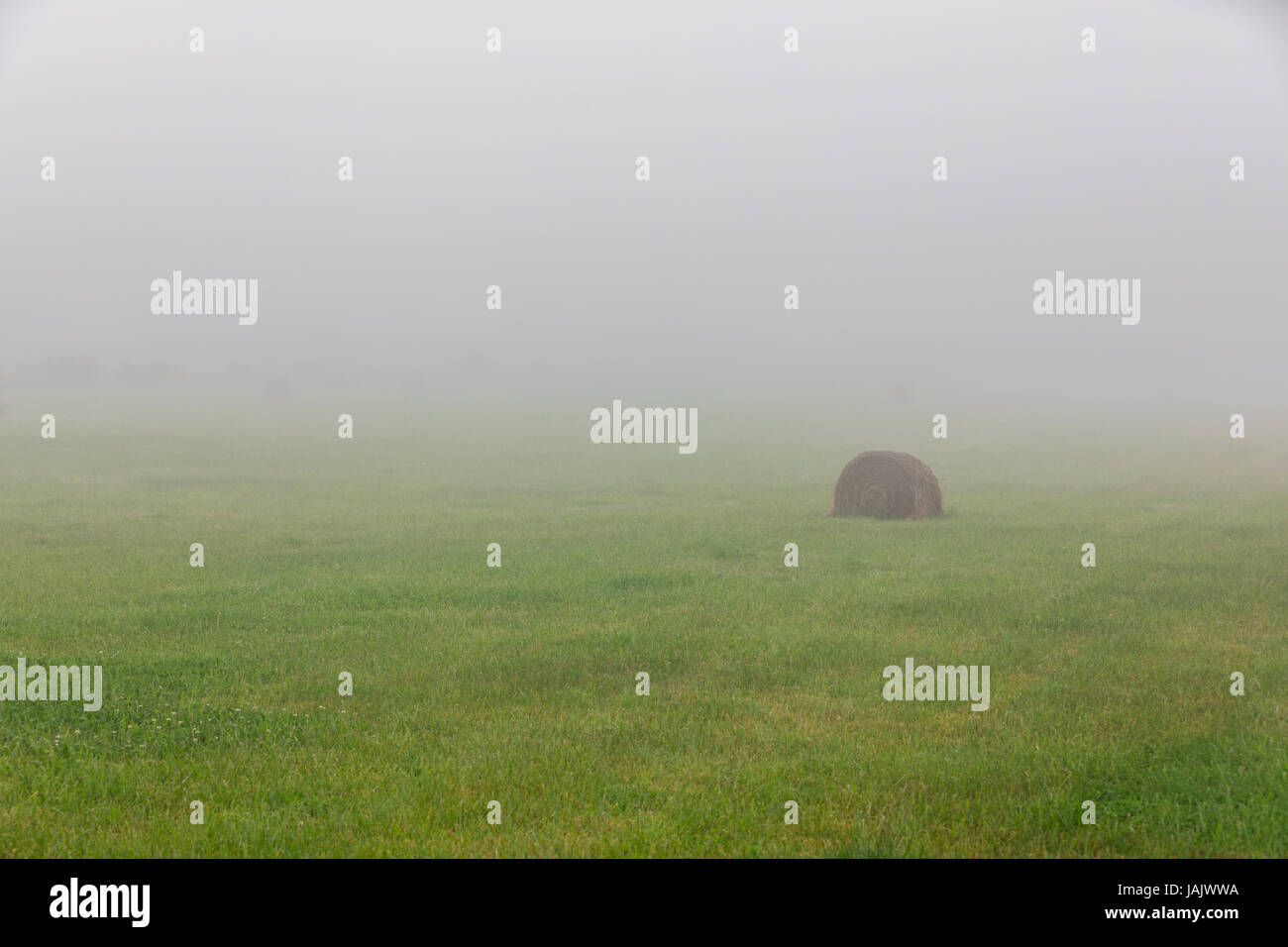 Champ brumeux avec des bottes de foin Banque D'Images