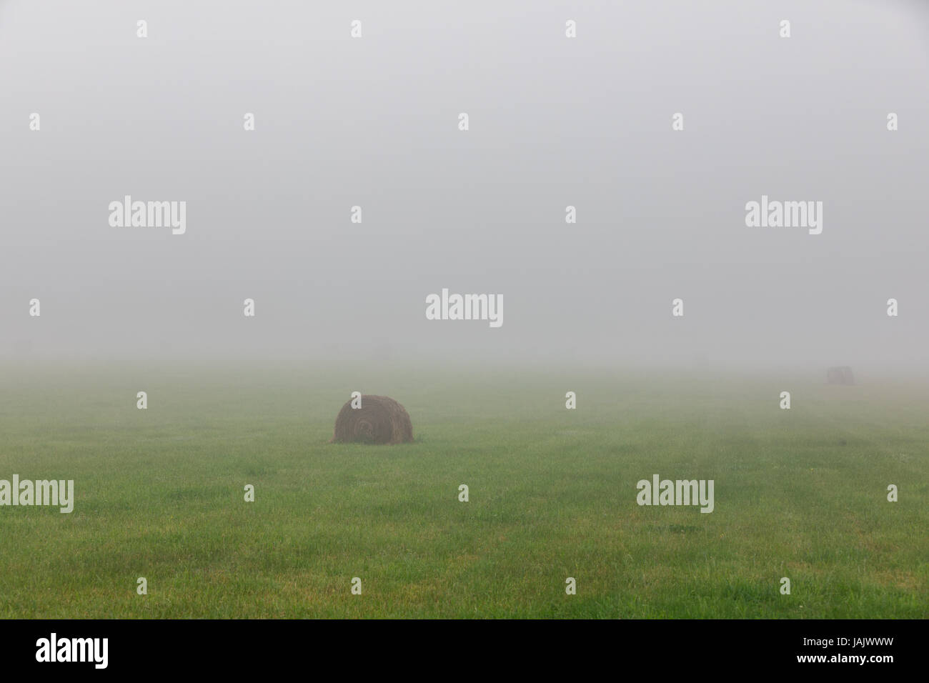 Champ brumeux avec des bottes de foin Banque D'Images