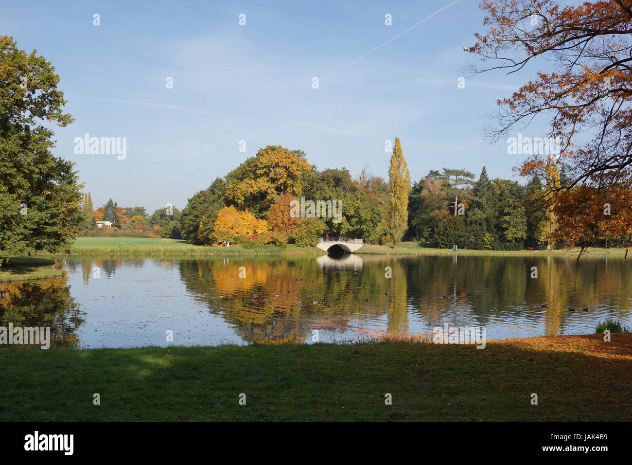 Herbstliche Spiegelung im Radisson Blu Fürst Leopold Park / réflexion automnale en Kuhfelde Banque D'Images