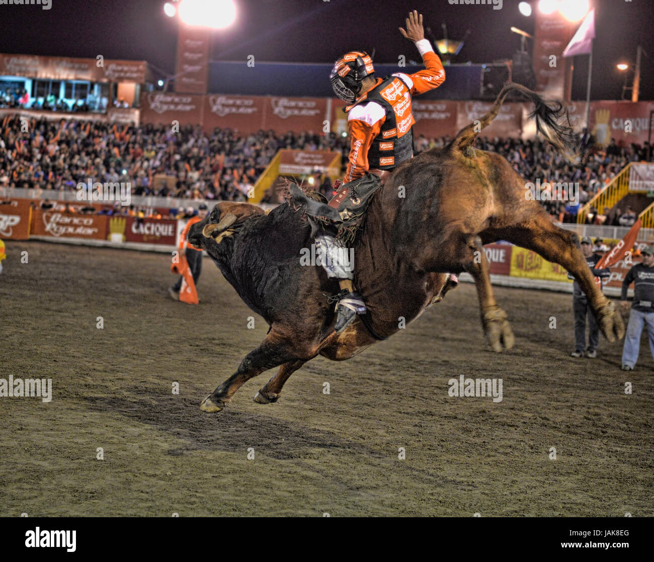 Un taureau géant sur le ring avec son cavalier pendant le Costa Rica's Zapote Festival en centre-ville de San José le 29 décembre 2014. Banque D'Images