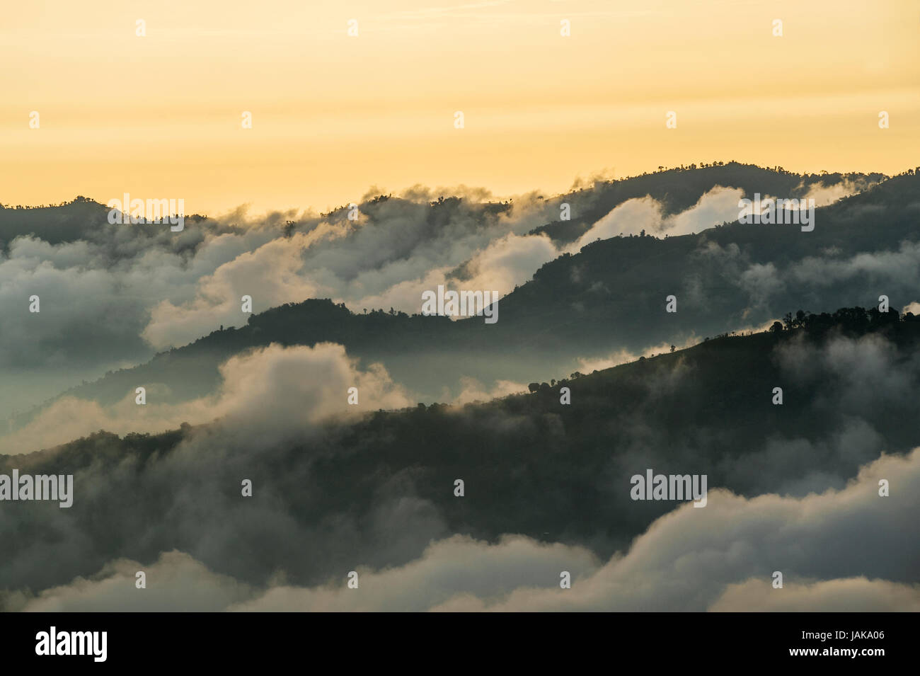 Andes, Bolivar, Province de l'Équateur, près du volcan inactif Chimborazo Reserva de Produccion Faunistica Chimborazo, dans la Cordillère Occiden Banque D'Images